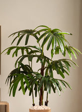 Alamkari India Fabric & Plastic Artificial Rhapis Palm Tree in Black Pot (150 cm)